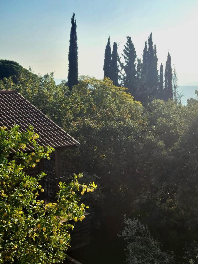 Вилла Roof Of The Galilee Амирим Экстерьер фото